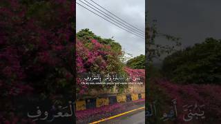 This Qur’an Recitation Deserves 10 Seconds 🤍