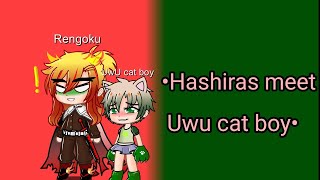 Hashiras Meet Uwu Cat Boy For The First Time Gacha Skit Itsjune Check Description
