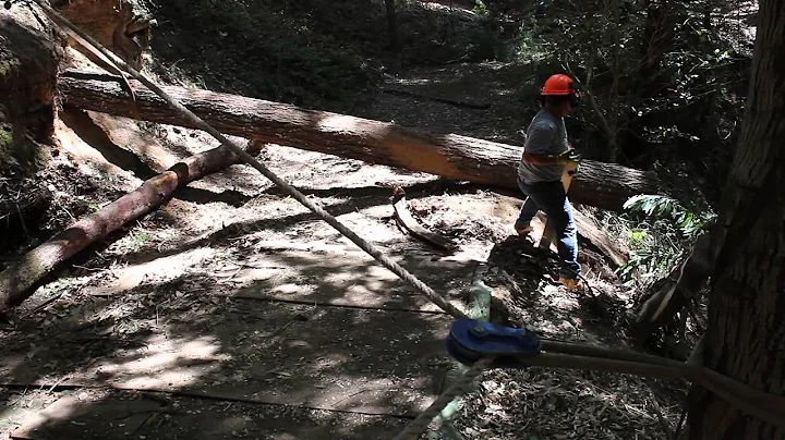 Rigging and Hauling Big Tree's Uphill