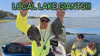 You Won't Believe the Size of These Bluegills & Shellcrackers!!!