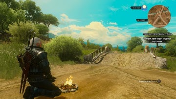 The Witcher 3 meditation mode