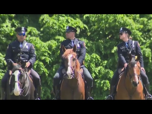 Nassau Police Welcome New Dogs Horses To Department