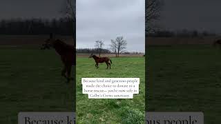 THEY WERE SUPPOSED TO DIE TOGETHER SO HUMANS COULD EAT THEM…