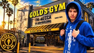 I Tested Gold’s Gym… Does It Live Up to the Hype?
