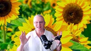 Download Lagu 31.07.25 Merkury CAZIMI- Musisz to wiedzieć! Propozycje na Sierpień🌞⚡️🌻 MP3 Download Lagu 31.07.25 Merkury CAZIMI- Musisz to wiedzieć! Propozycje na Sierpień🌞⚡️🌻 MP3