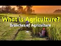 what is Agriculture and branches of Agriculture//A to Z Explanation// definition of Agriculture//