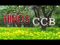 Hinos CCB 2022 🍄 Hinos Maravilhosos Para Cura O Espiritual 🍄 Eu desejo, Senhor, só em Ti descansar