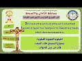 اللى التوزيع الفرايحى الكبير مرحلة ثالثة ورابعة ابتدائى مستوى الموهبين مهرجان الكرازة المرقسية2026 