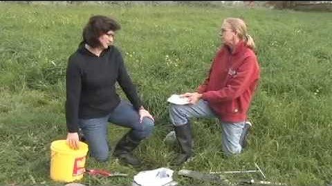 Soil Labs - Field Sampling