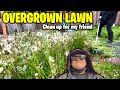 OVERGROWN LAWN CLEAN UP for my friend ~ ALL ELECTRIC TOOLS! ~ Did i mention it's RAINING!!!