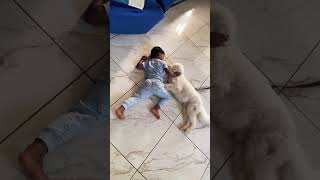 #cute #dog #cutebaby #pets #lifeisbutadream #funny #doglife #morning #babyanddog