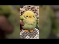 ABEARCAR 3.9 inches Parakeet Plush Toy Bird Stuffed Animal Plush Toy Holder Bag Pendant Party Christ