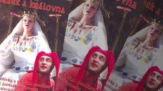 Vera Chytilova Films