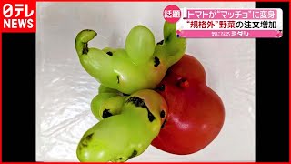 【話題】「マッチョトマト」が大バズリ…“規格外”野菜の注文増加