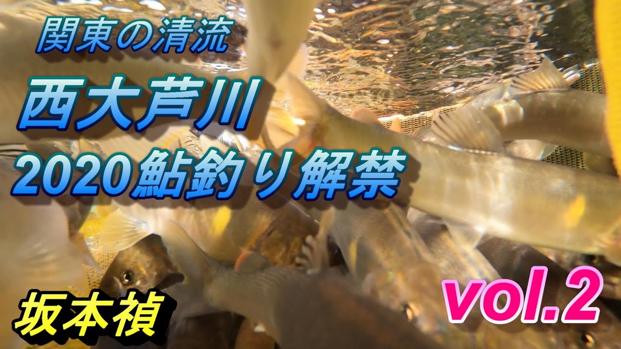 鮎釣り 関東の清流 西大芦川 鮎釣り解禁 Vol 2 No 4 Youtube