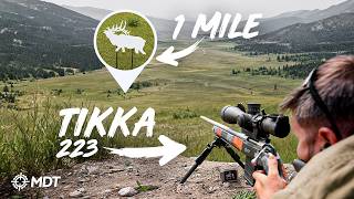 Can You Shoot a 223 At 1 Mile?