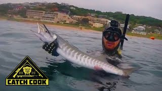 Crazy shark encounter while spearfishing in KZN, South Africa - Catch Cook