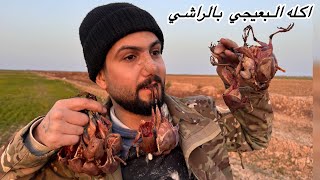 صيد البعيجي بكثره وتتبيله باراشي الاكله الشعبيه 