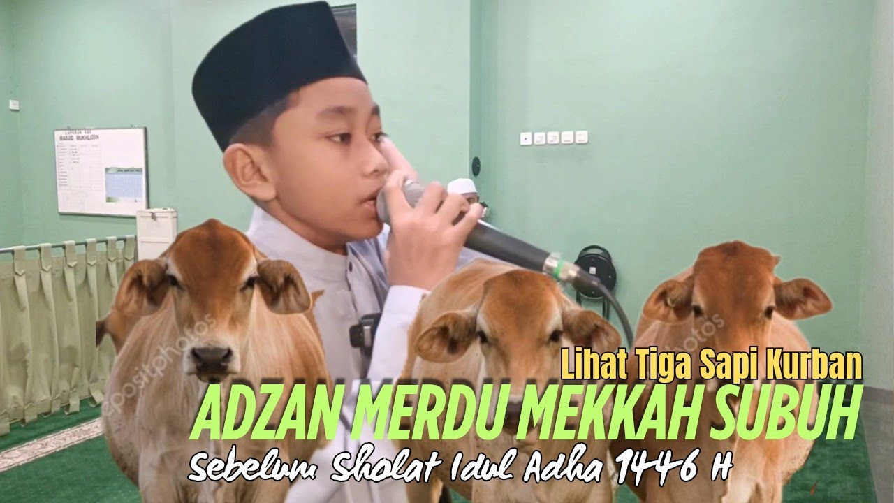 Lihat Tiga Sapi Kurban Saat Adzan Merdu Mekkah Subuh Sebelum Sholat Idul Adha 1446 H