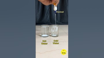 Easy simple sciense experiment😍Fevicol vs Cold Water and Hot Water #shorts #experiment
