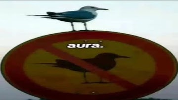 running ultrakill full game everyday until i get a gf (day 39)