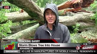 Tree with beehive falls onto Jeanerette home