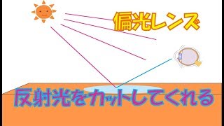 偏光レンズについて