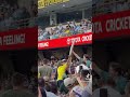 Australia vs West Indies Fun at the Gabba