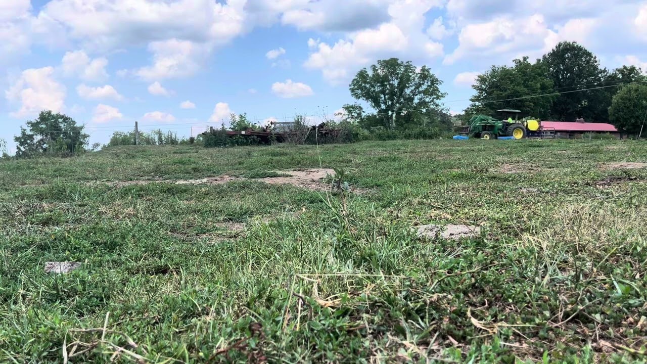 Spraying crossbow weed control.