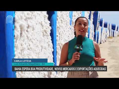 Bahia espera boa produtividade, novos mercados e exportações aquecidas | Canal Rural