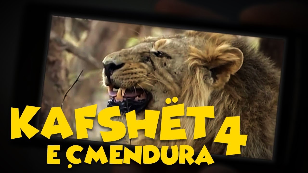 Kafshët e Çmendura | E4