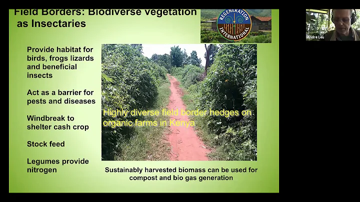 Why Regenerative Farming Is the Key Solution to Hi...