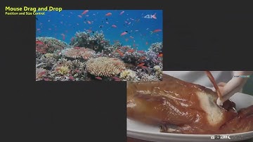 Scaling, Size & Position Control (MDIN-640/620/400)