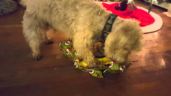 X-Mas 2015 Dexter