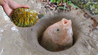 Unbelievable Fishing Techniques | Turtle Best Fishing Fishing | How to catch fish #002