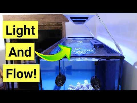 Red Sea Reefer S-850 G2+ Episode 3 | Adding Lights & Flow