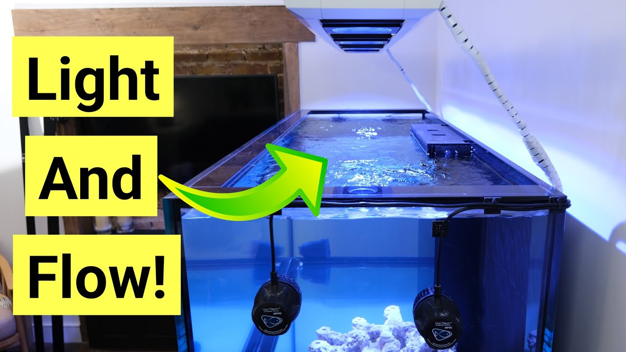 Adding Lights & Flow | Red Sea Reefer S-850 G2+ Episode 3 - YouTube