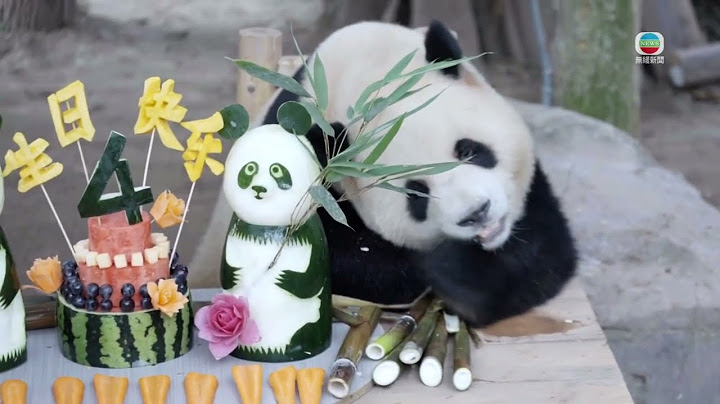 TVB News｜26 June 2025│Chongqing's panda twins celebrate fourth birthday