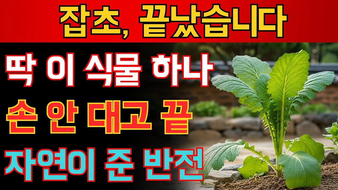 잡초가 다시는 못 자랍니다이 20가지 식물만 심어보세요!