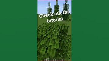 Quick Cypress tree build #minecraft #tutorial #java #bedrock