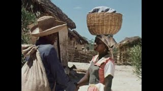 GOUVERNEURS DE LA ROSÉE (Film Haitien)