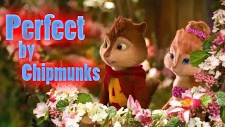 Perfect - Ed Sheeran (Version The chipmunks)🐿️