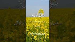 🌙 Surah Al-Mumtahanah | Translation for Guidance & Reflection 📖✨#SurahMumtahanah #QuranTranslation