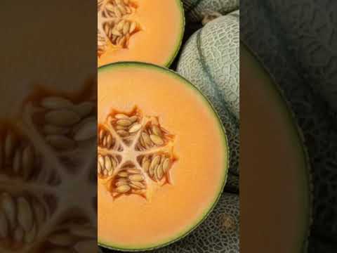 Miniature de la vidéo : du melon contaminé rappelé dans toute la France
