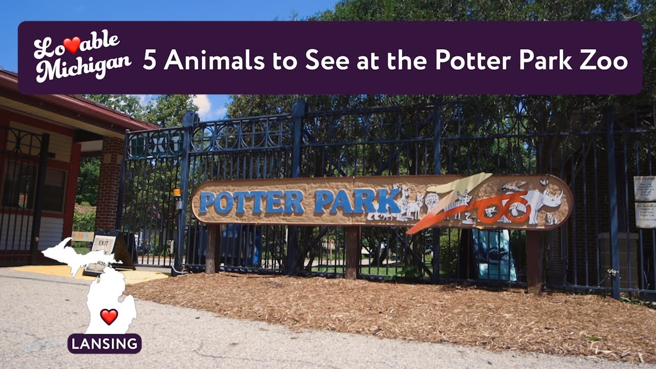 Can You Bring Dogs To Potter Park Zoo at Janet Cantrell blog