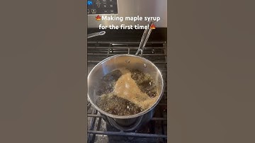 🍁Making maple syrup for the first time! #maple #maplesyrup #sugarmaple #homesteading #fyp