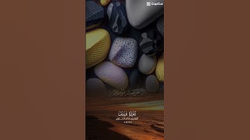 ايات من سورة يوسف بصوت القارء خالد الجليل.