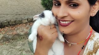 Reema Pyari लइव ह