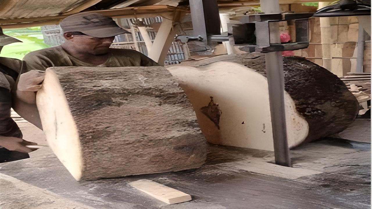 🚩Sawmill Machines Big Wood Cutting Amazing Sawmills - YouTube