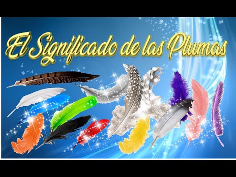 Video: ¿De qué colores son las alas de ángel?